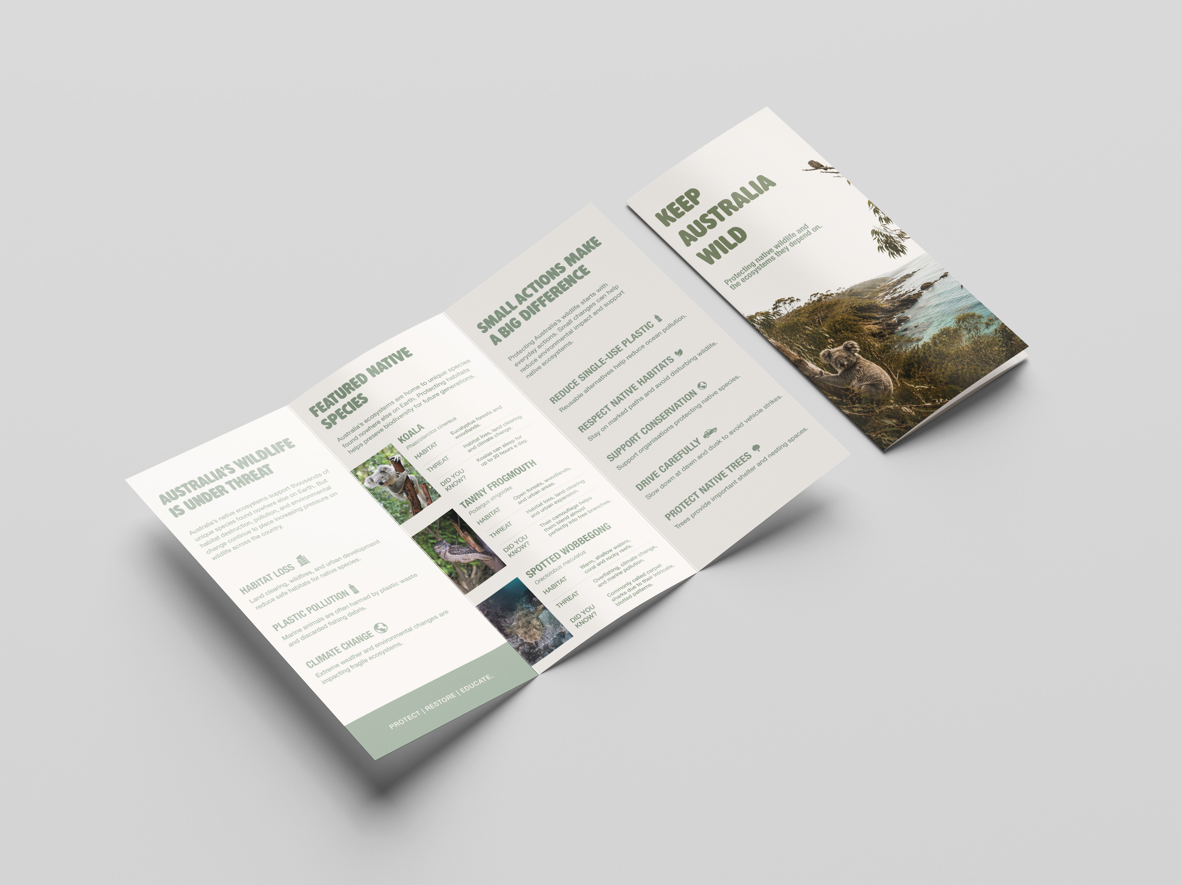 Conservation brochure opened to show wildlife threats, featured species and practical actions