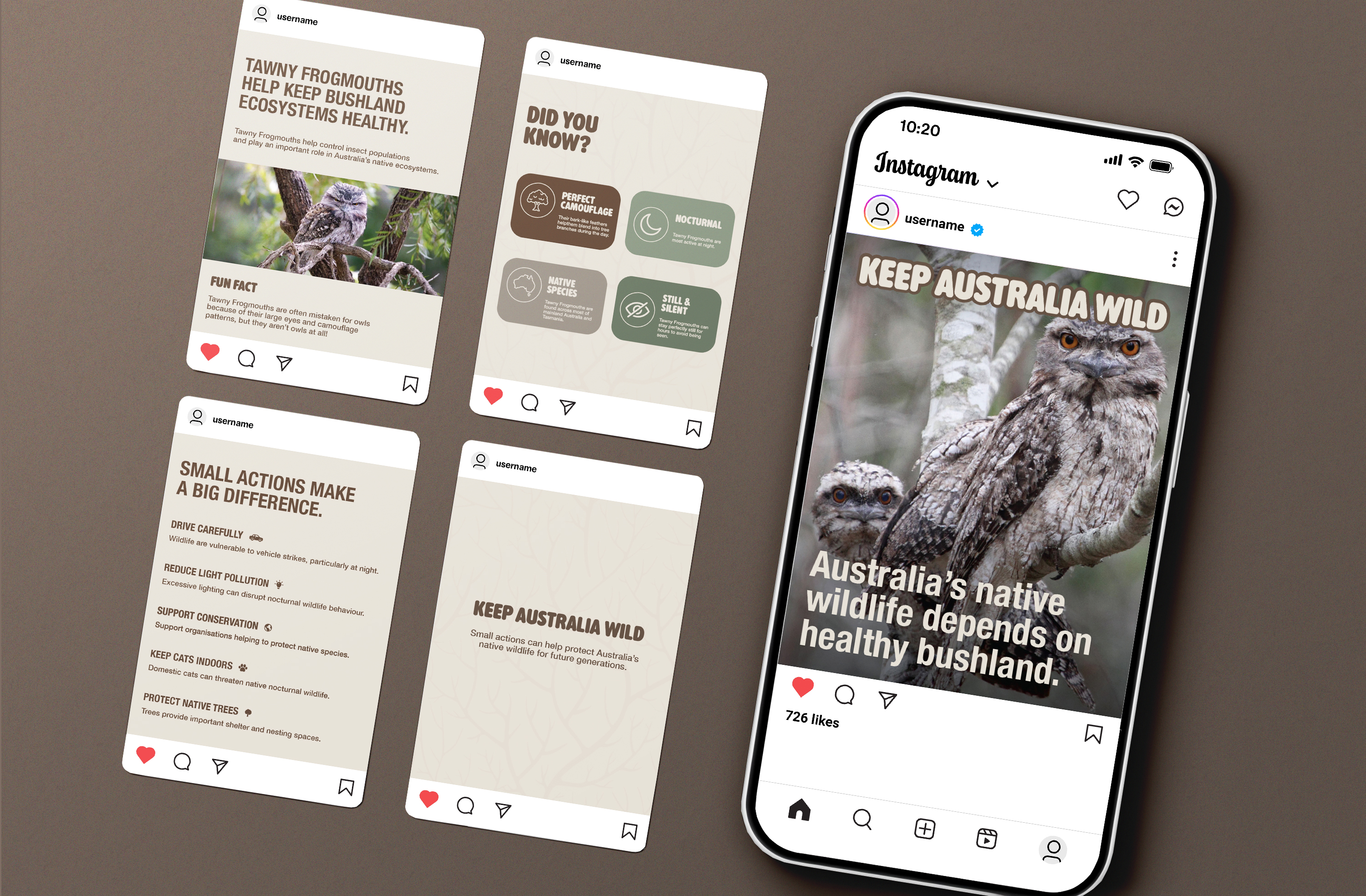 Tawny frogmouth conservation social campaign with educational posts and an Instagram mockup