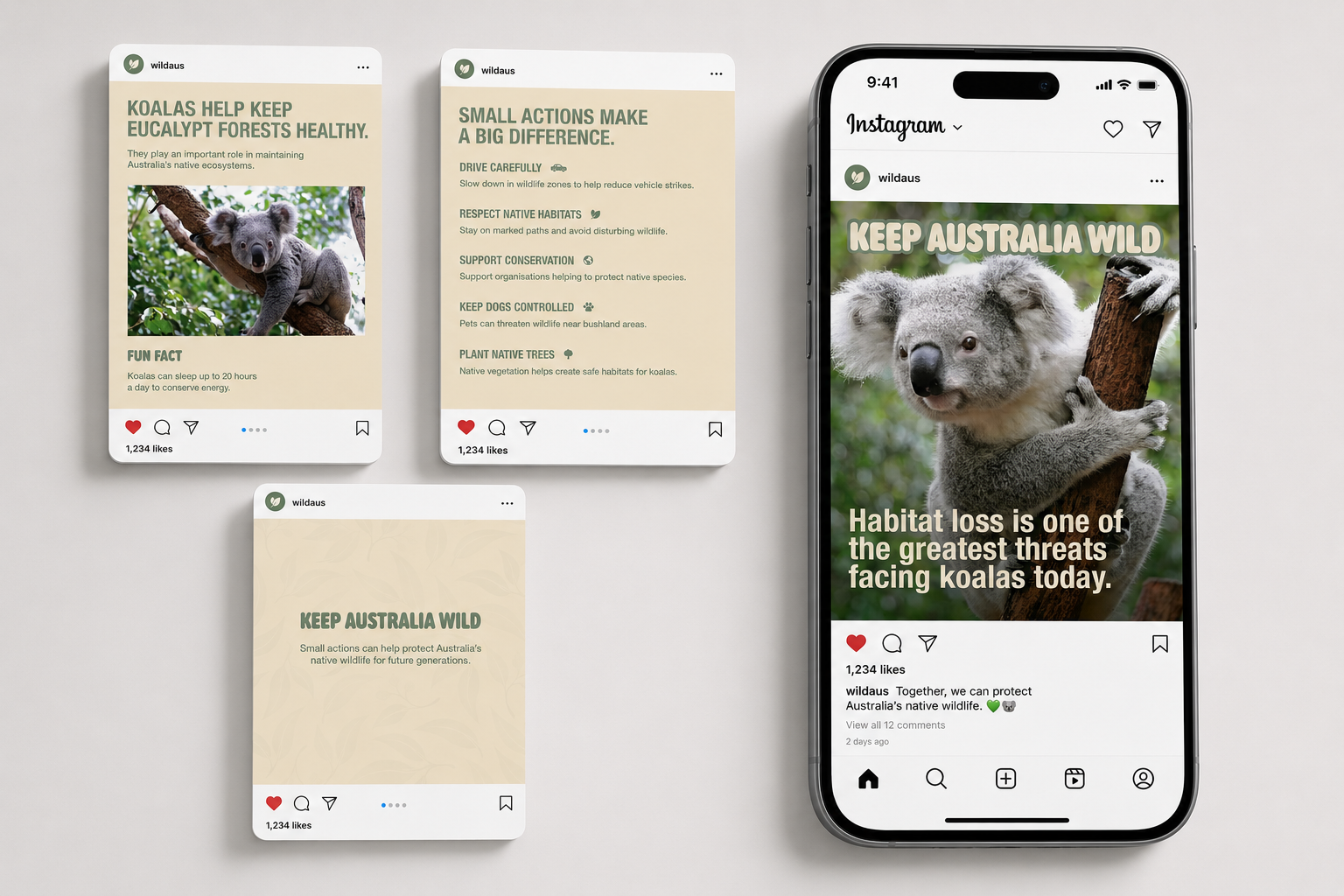 Koala conservation social campaign with educational carousel posts and an Instagram mockup