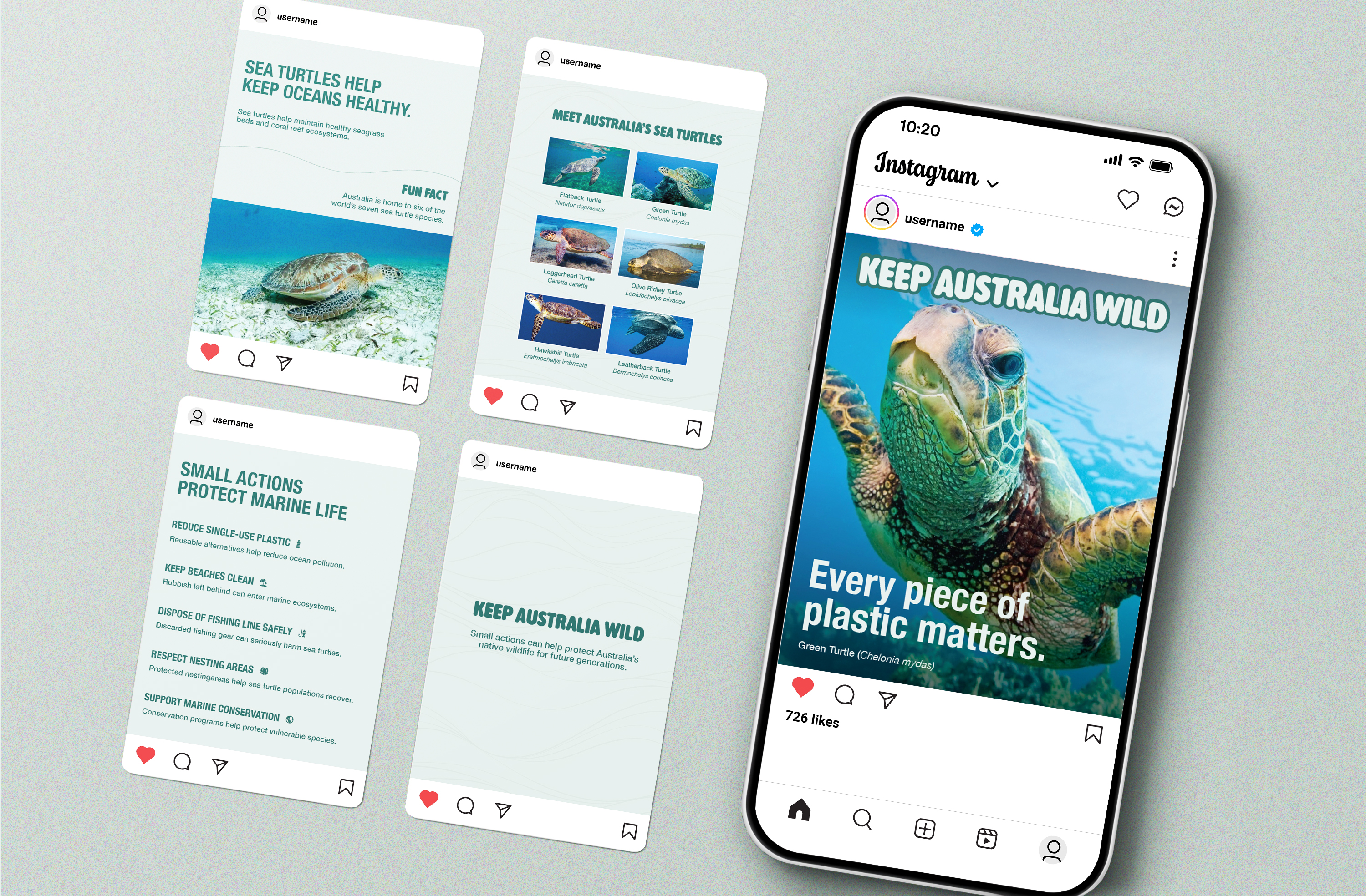 Sea turtle conservation social campaign with educational posts and an Instagram mockup
